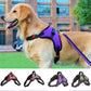 Nylon Adjustable Pet Harness For Dogs Reflective Dog Harness No Pull Small Medium Large Dog Harness Leash Dog Supplies