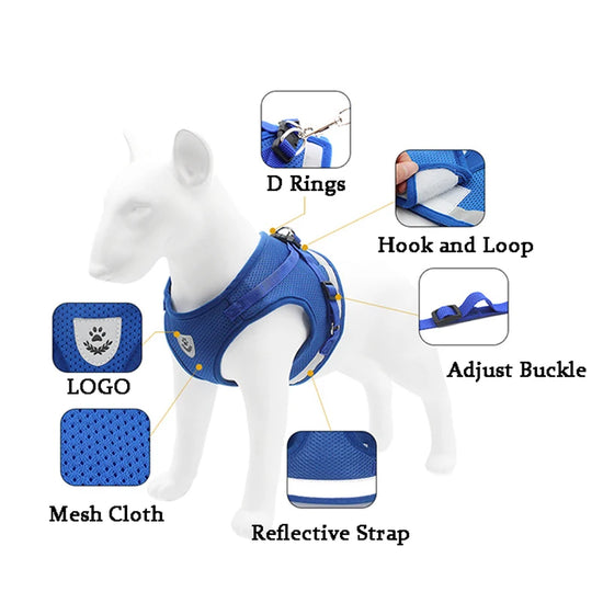 CDDMPET Dog Harness and Leash Set Outdoor Training Walking Harnesses Safety Sport Puppy Vest Pet Harness For Small Dogs Cats